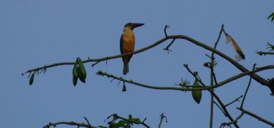 Tracy Sodeau Cycling on the  tour with redspokes